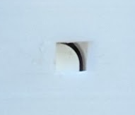 Reset button (access with a pin)